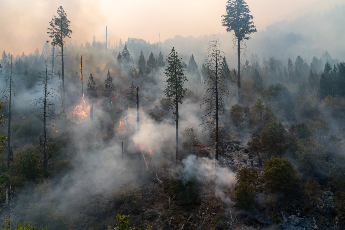 Flames approaching Highway 50 during Caldor Fire in California